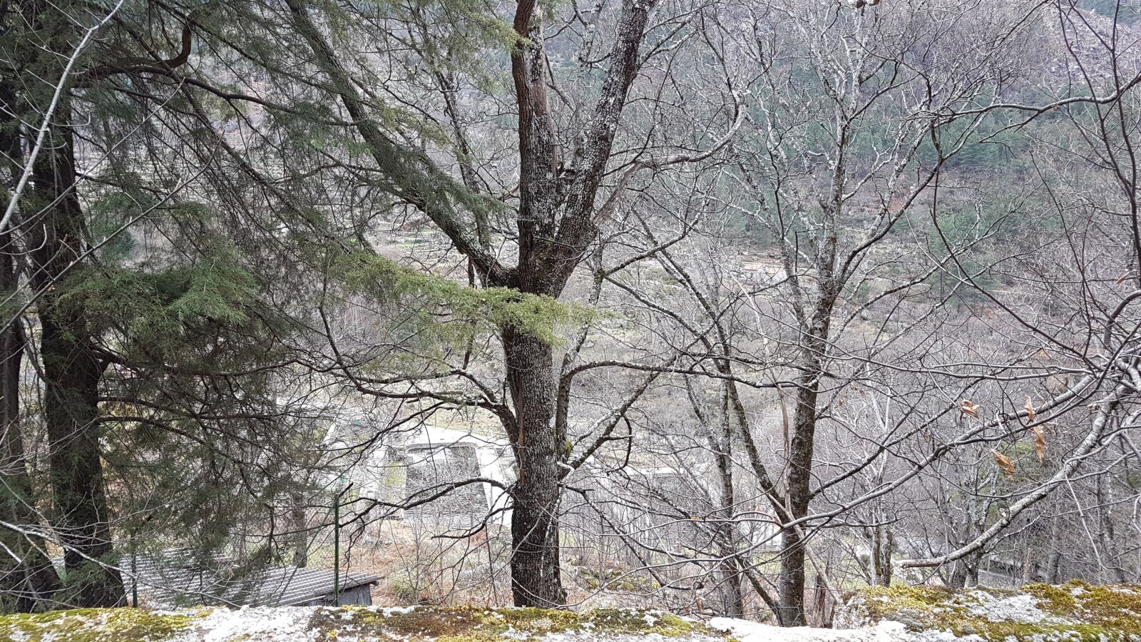 Samsung Galaxy S7 Edge sample photo. Serra da estrela, snow photography