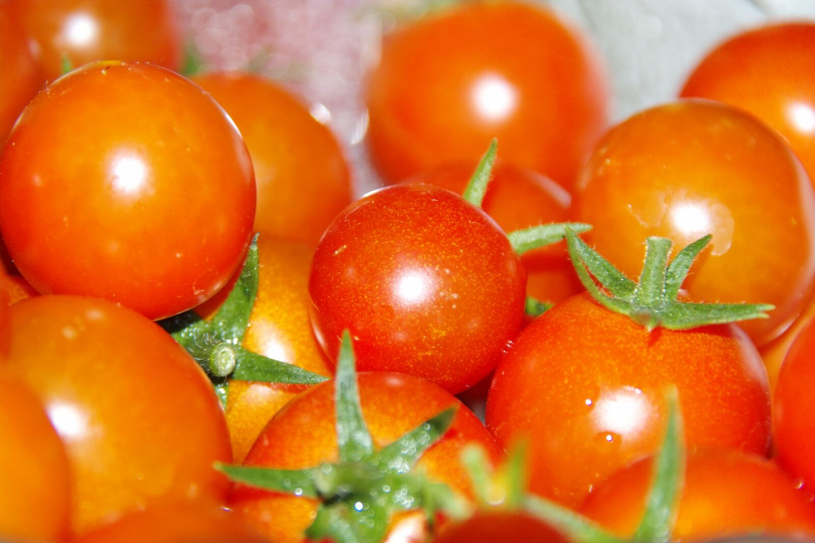 Sigma SD14 sample photo. Tomato, red, vegetables photography