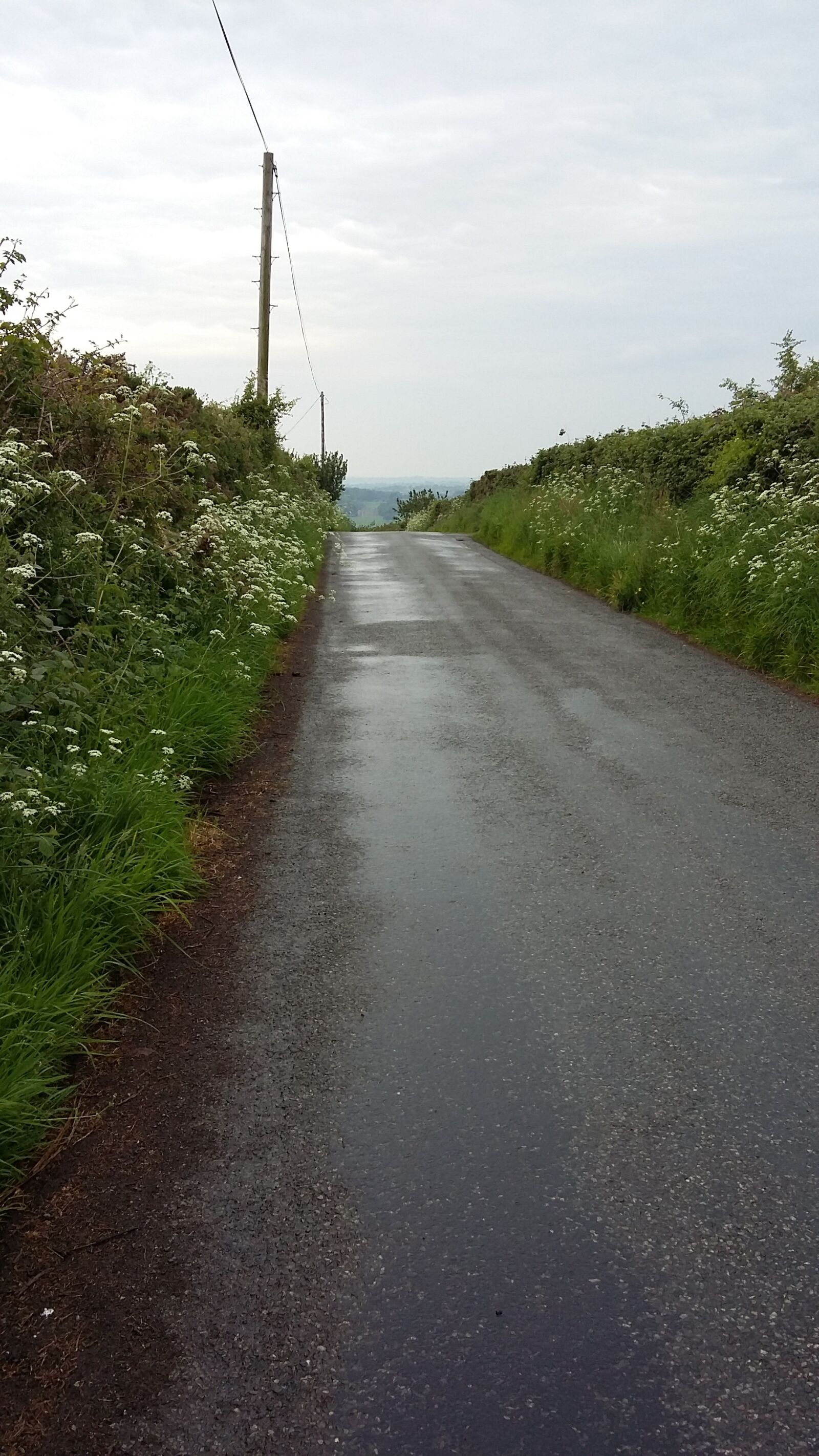 Samsung SM-A300FU sample photo. Road, wet, countryside photography