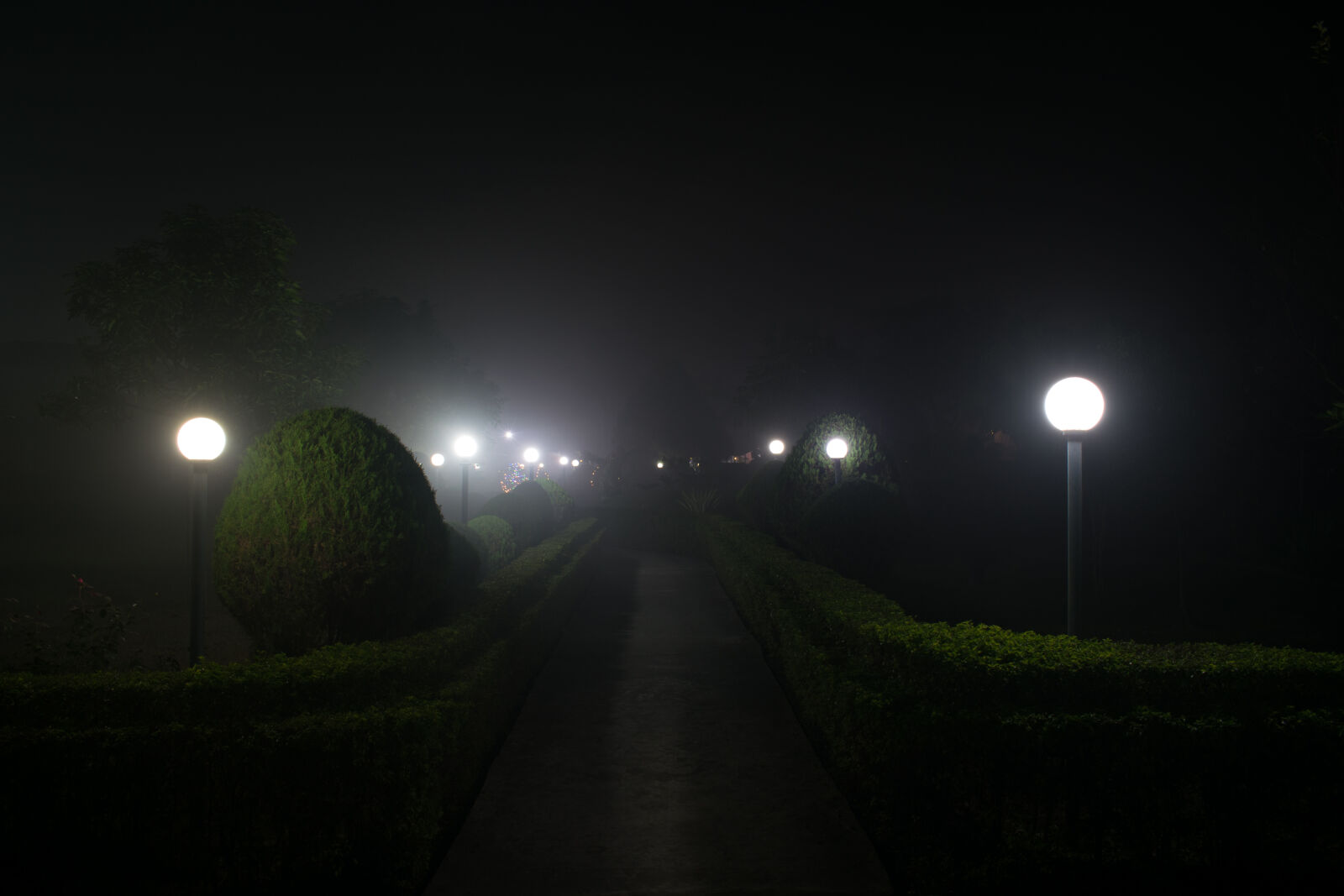 Nikon D3300 sample photo