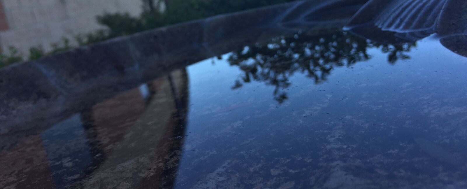 iPhone 6 back camera 4.15mm f/2.2 sample photo. Bird, birdbath, blue, clouds photography