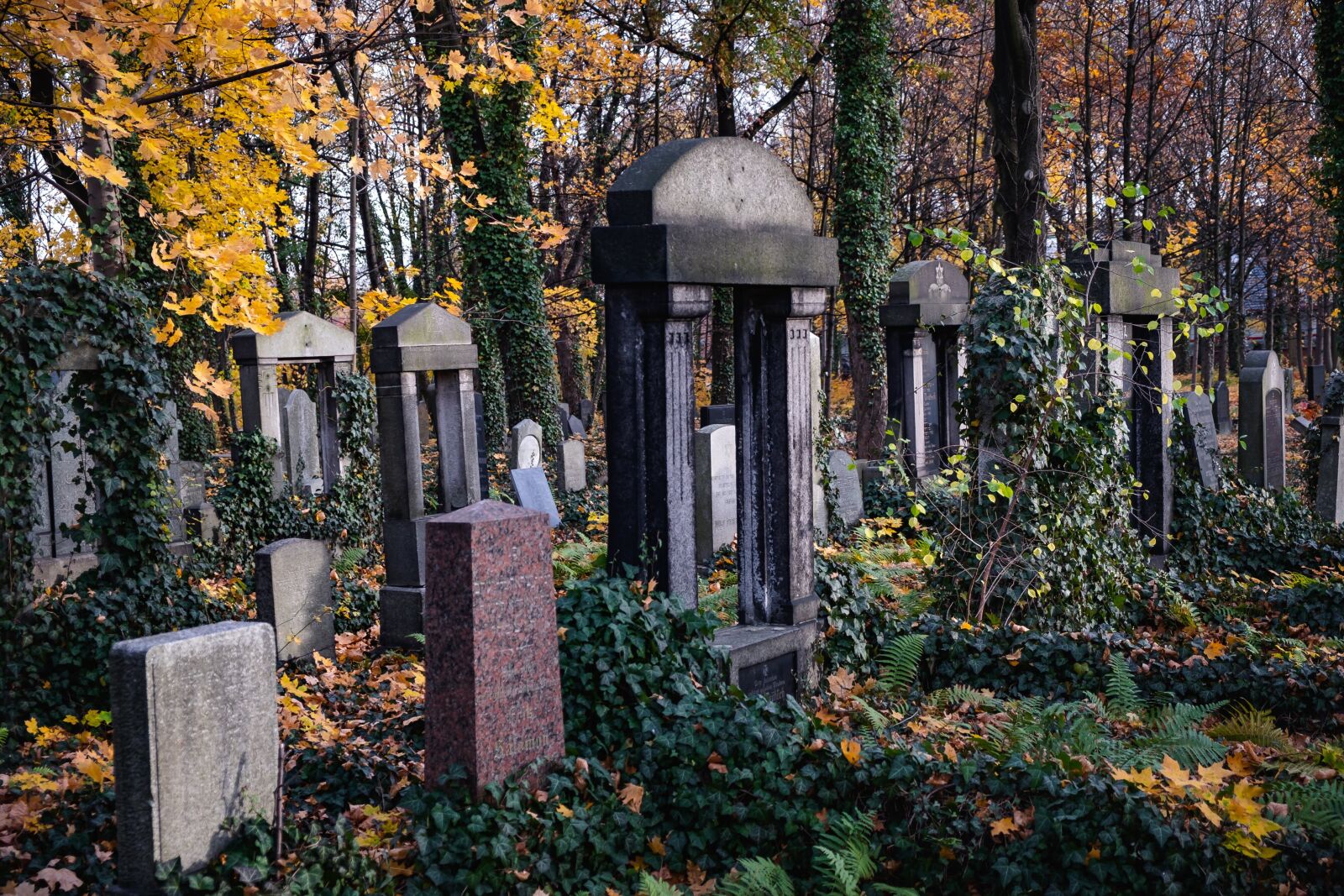 Fujifilm X-Pro2 sample photo. Cemetery, graves, the tomb photography