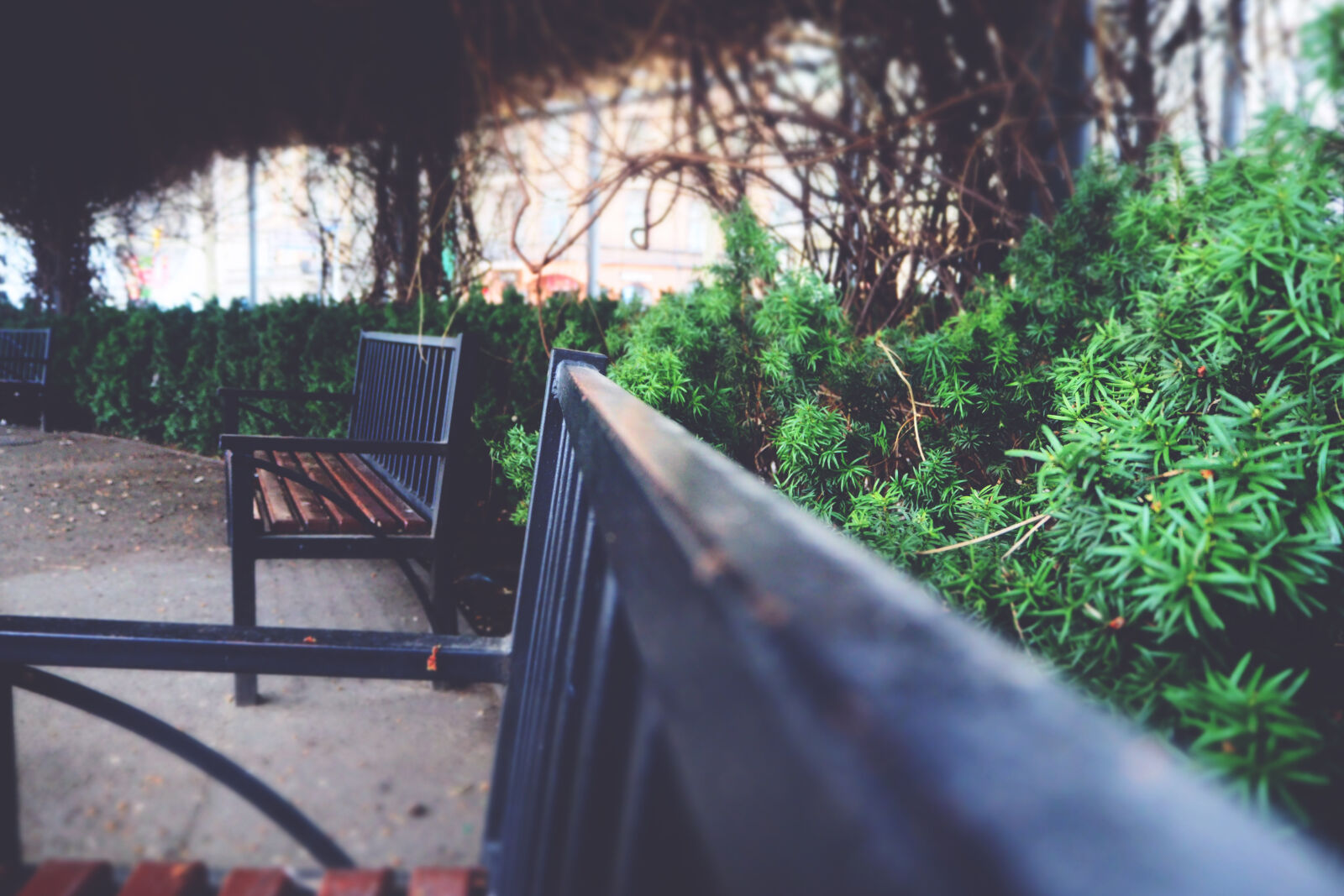 Olympus OM-D E-M10 II sample photo. Bench, blur, chairs, close photography