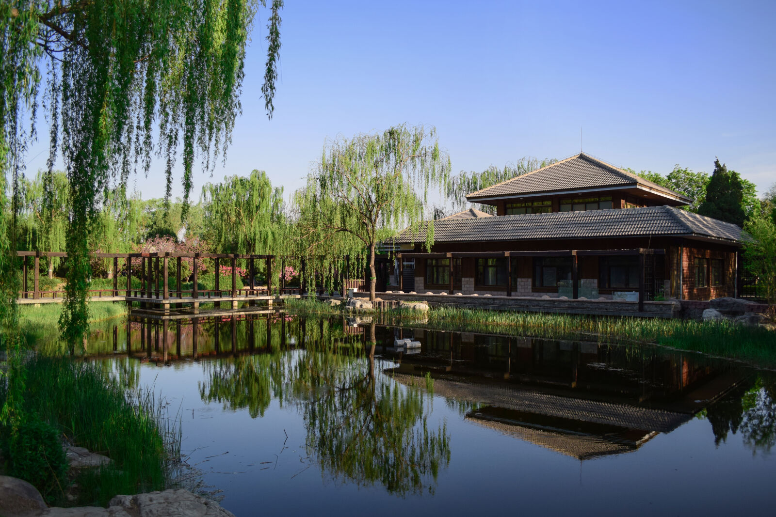 Nikon D5300 sample photo