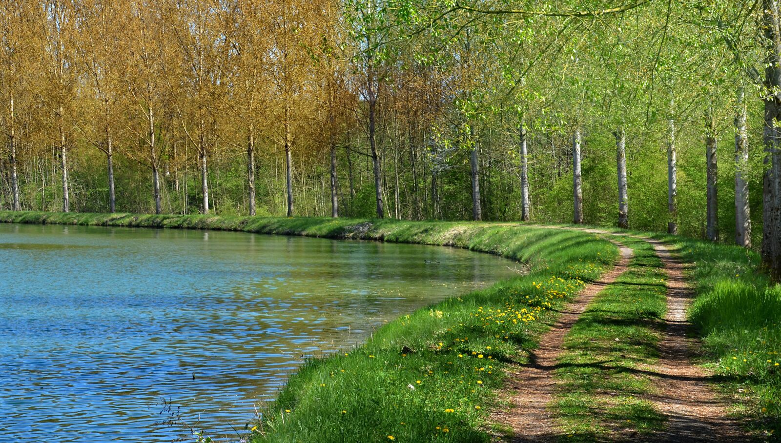 Nikon D5100 sample photo. River, meuse, france photography