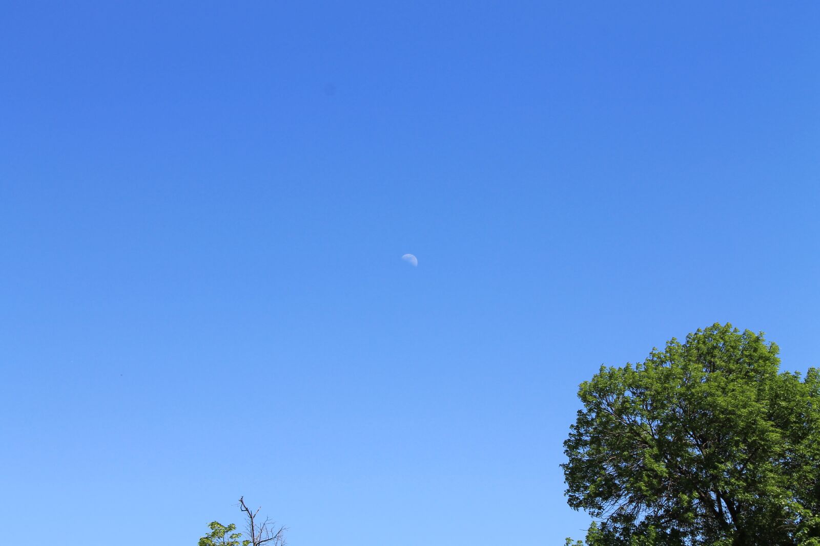 Canon EOS 1100D (EOS Rebel T3 / EOS Kiss X50) sample photo. Sky, blue, landscape photography