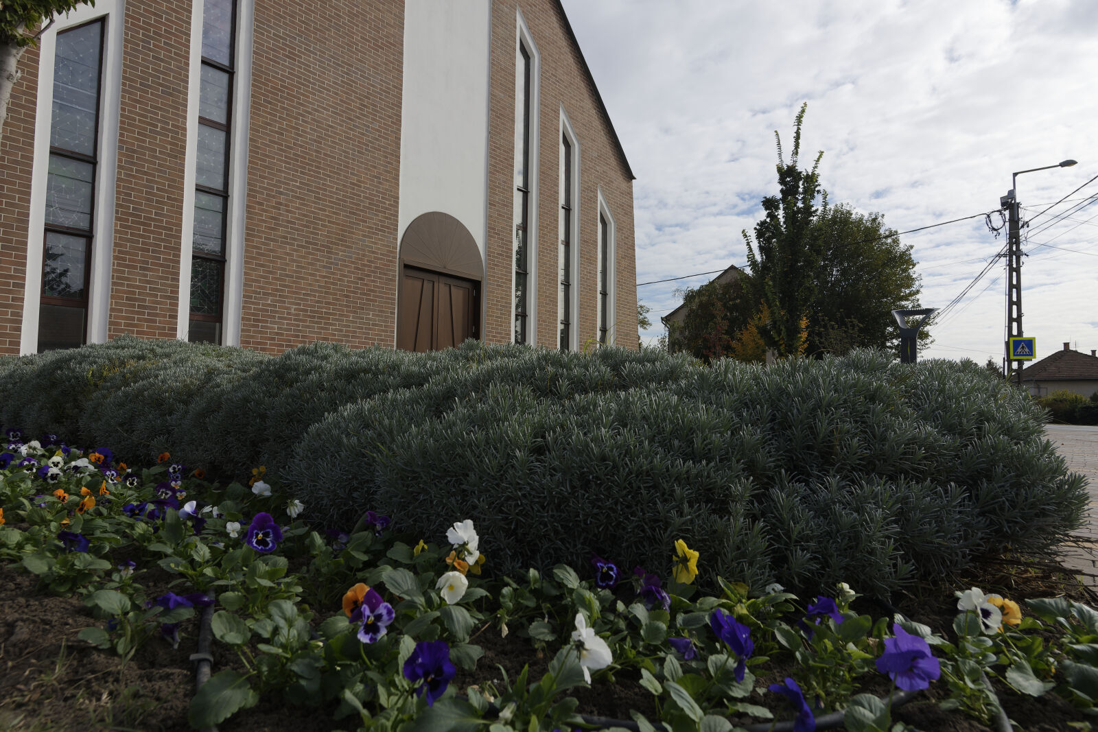 Nikon D7500 sample photo