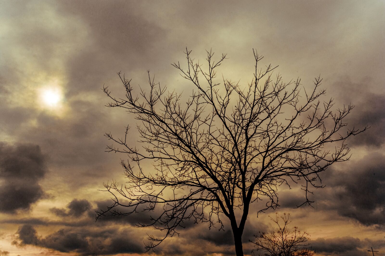 Nikon D7100 sample photo. Sun, clouds, sky photography
