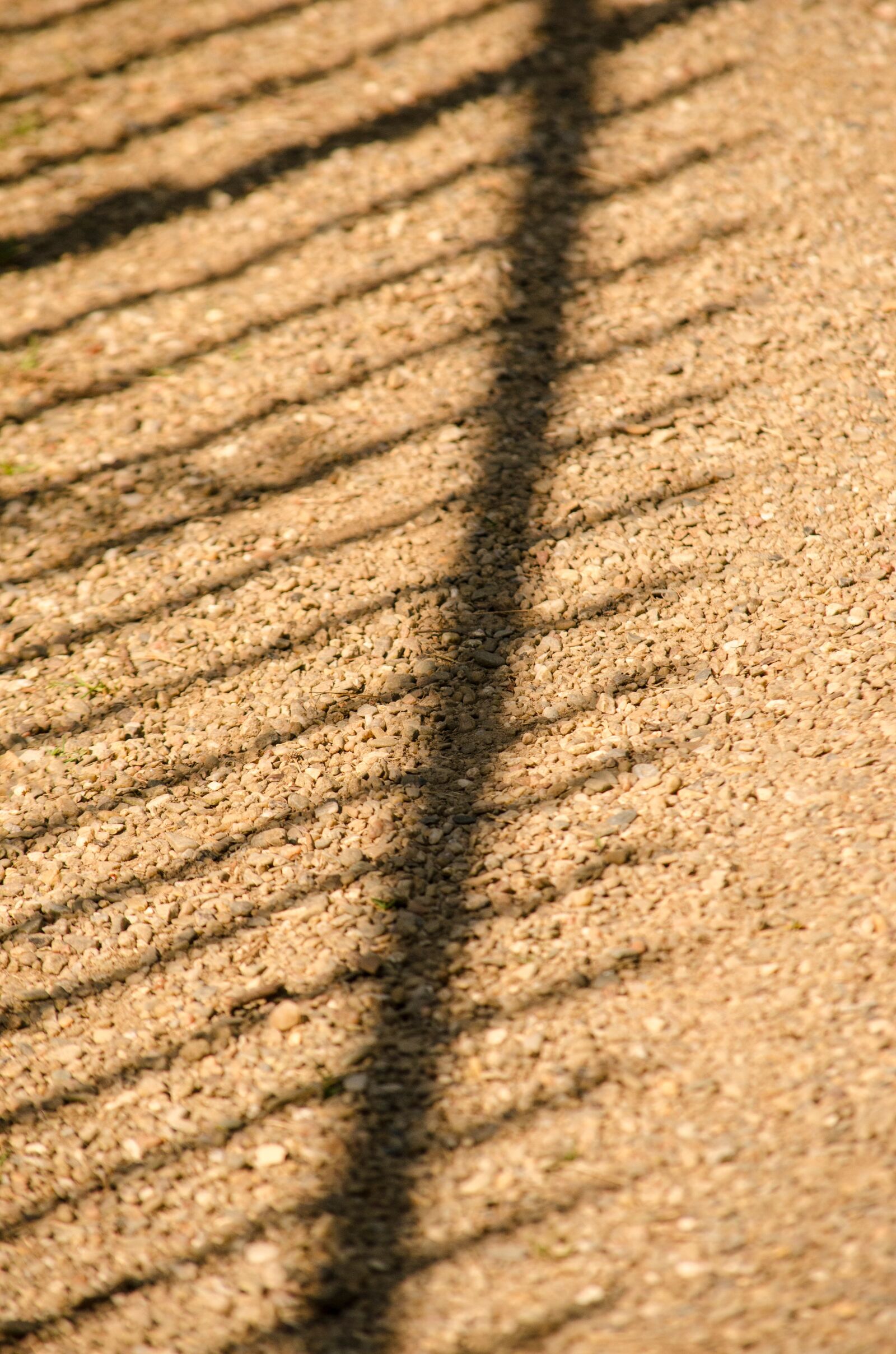 Nikon D5100 sample photo. Shadow, sidewalk, park photography