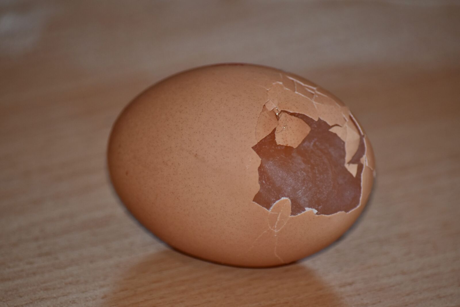 Nikon D5500 sample photo. Egg, eggshell, food, hole photography