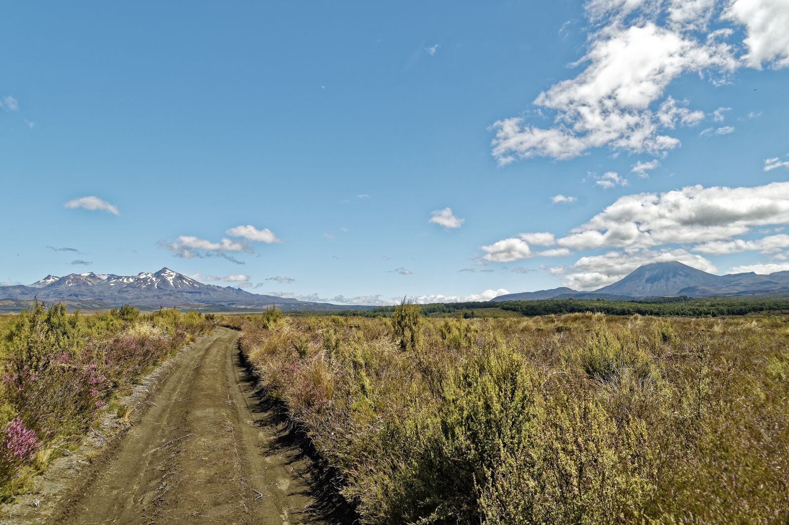Nikon D500 sample photo. New zealand, tongariro national photography