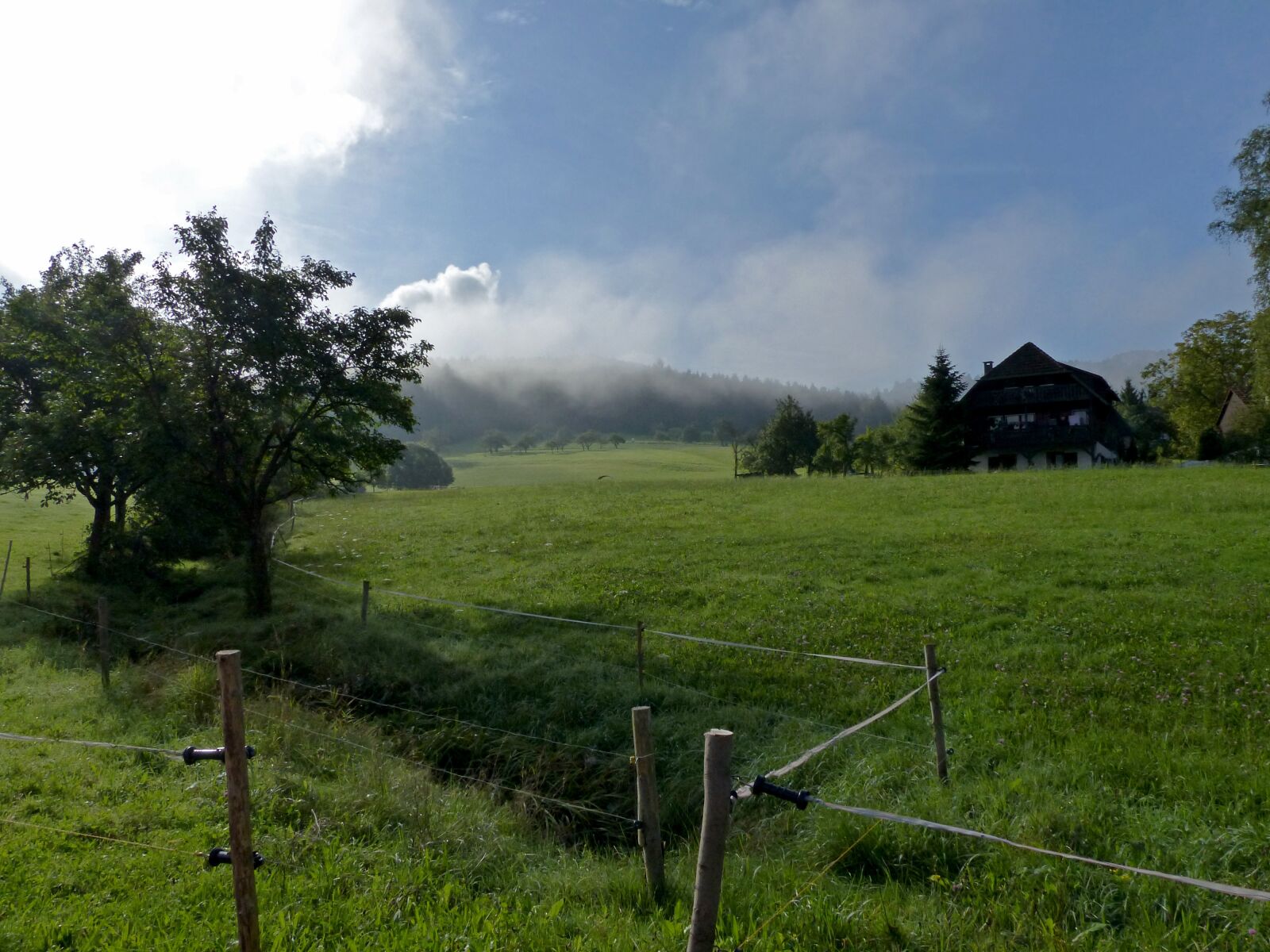 Panasonic Lumix DMC-FZ200 sample photo. Morning, landscape, mood photography