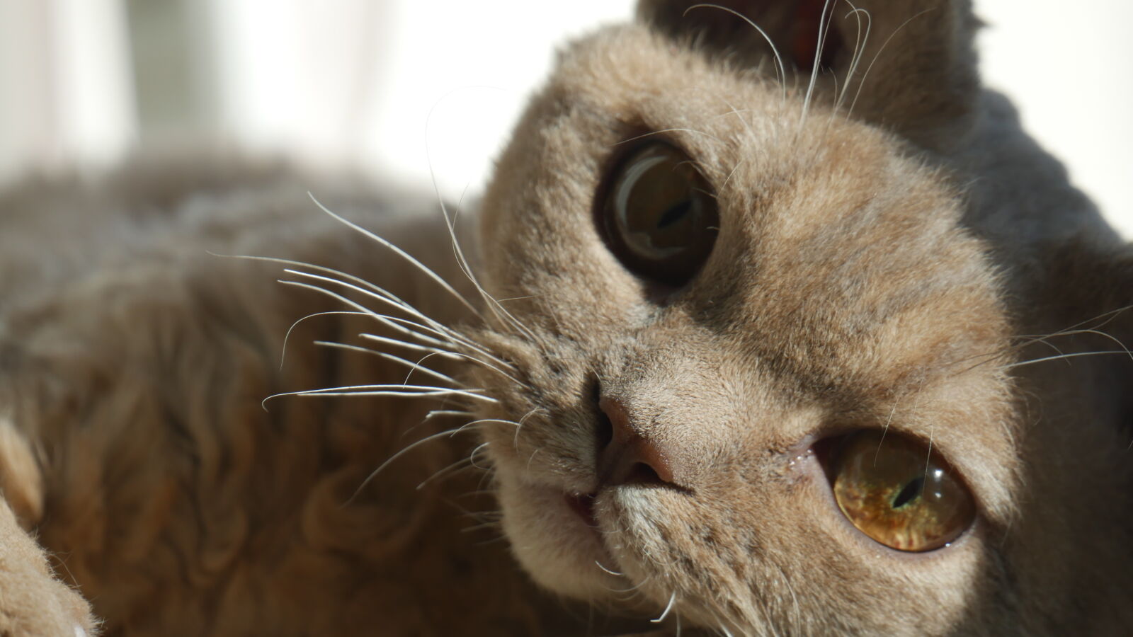 Panasonic Lumix G Vario 45-150mm F4-5.6 ASPH Mega OIS sample photo