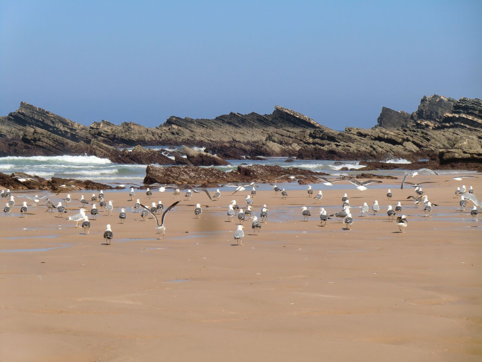 CASIO EX-H15 sample photo. Beach, amalia, alentejo photography