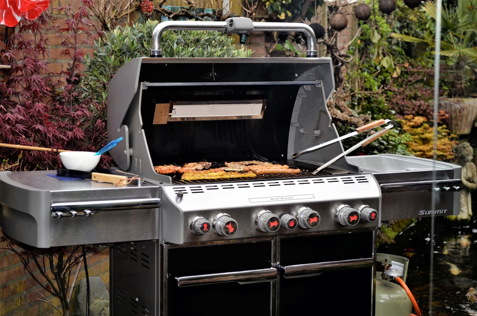 Nikon D5100 sample photo. Bbq, garden, food photography