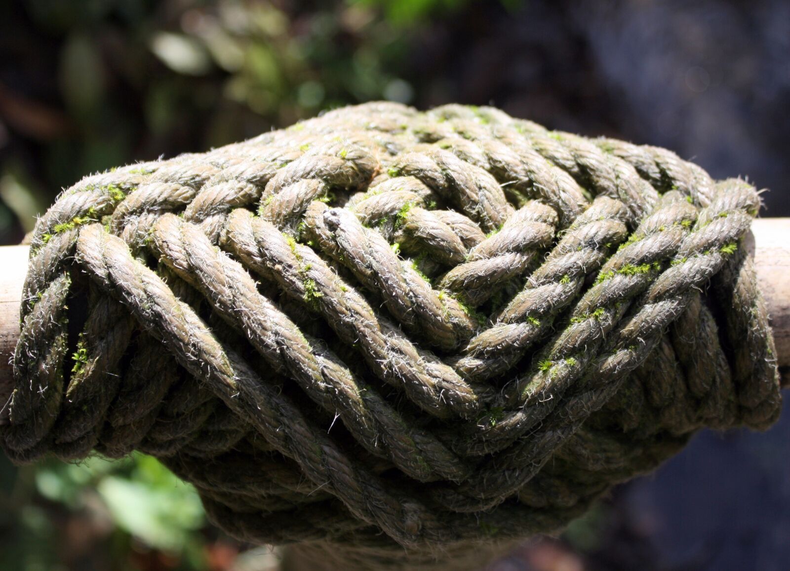 Canon EOS 1000D (EOS Digital Rebel XS / EOS Kiss F) sample photo. Rope, knotted, nautical photography