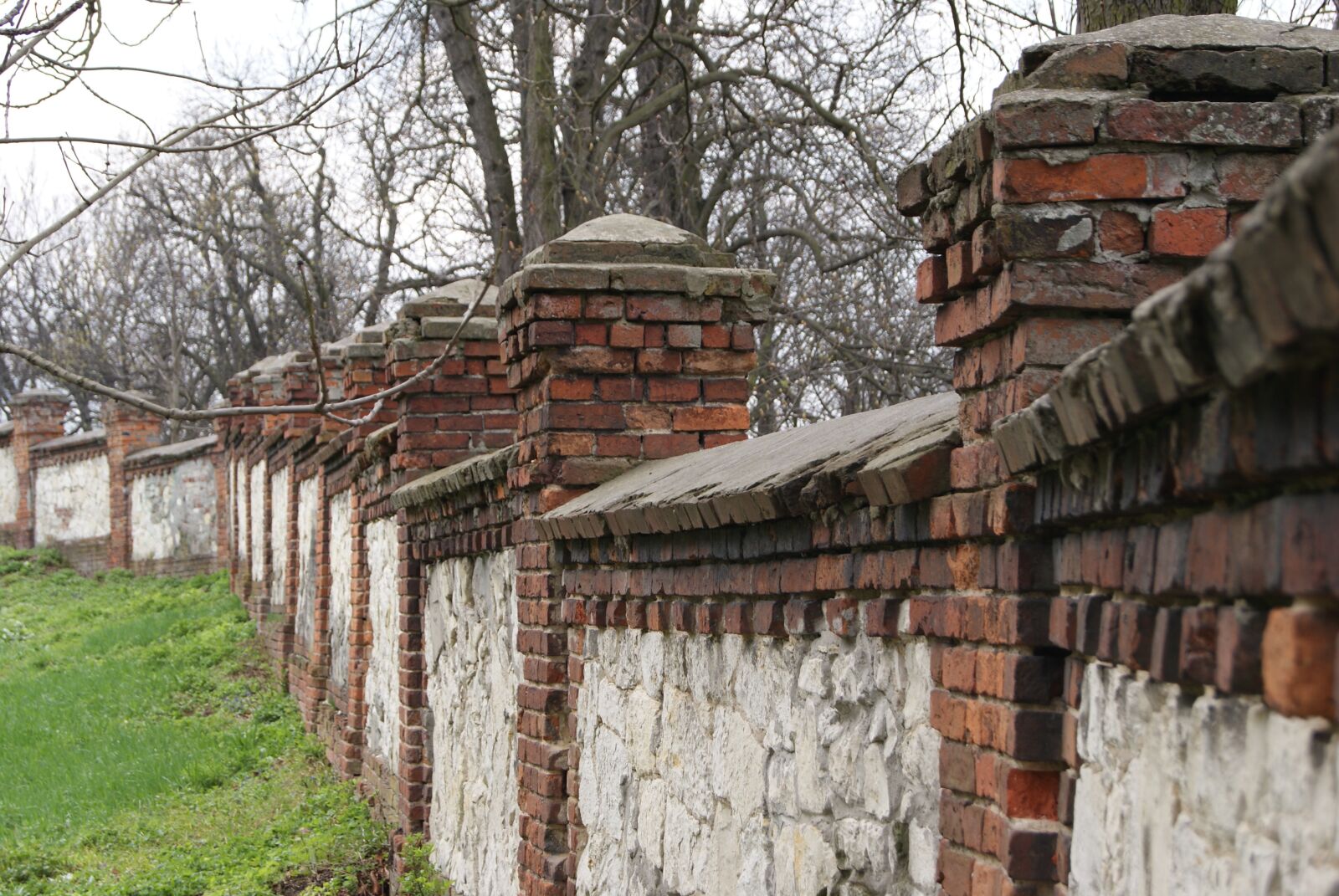 Sony Alpha DSLR-A230 sample photo. Lake dusia, old, defensive photography