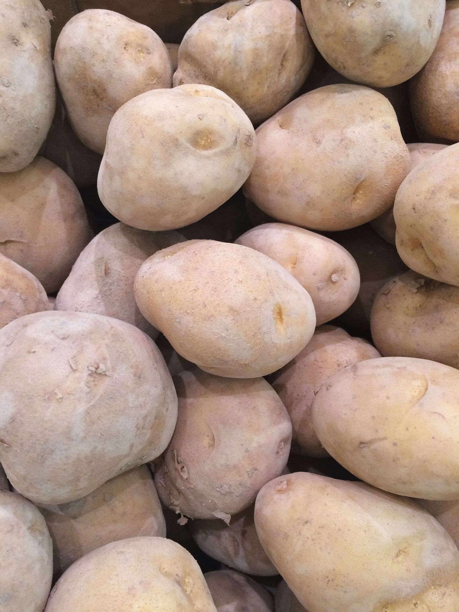 iPhone 5s back camera 4.15mm f/2.2 sample photo. Potato, seiyu ltd, living photography