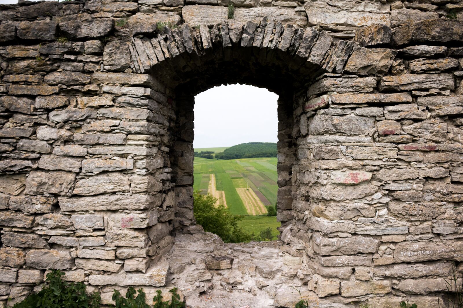 Canon EOS 750D (EOS Rebel T6i / EOS Kiss X8i) sample photo. Window, castle, field photography