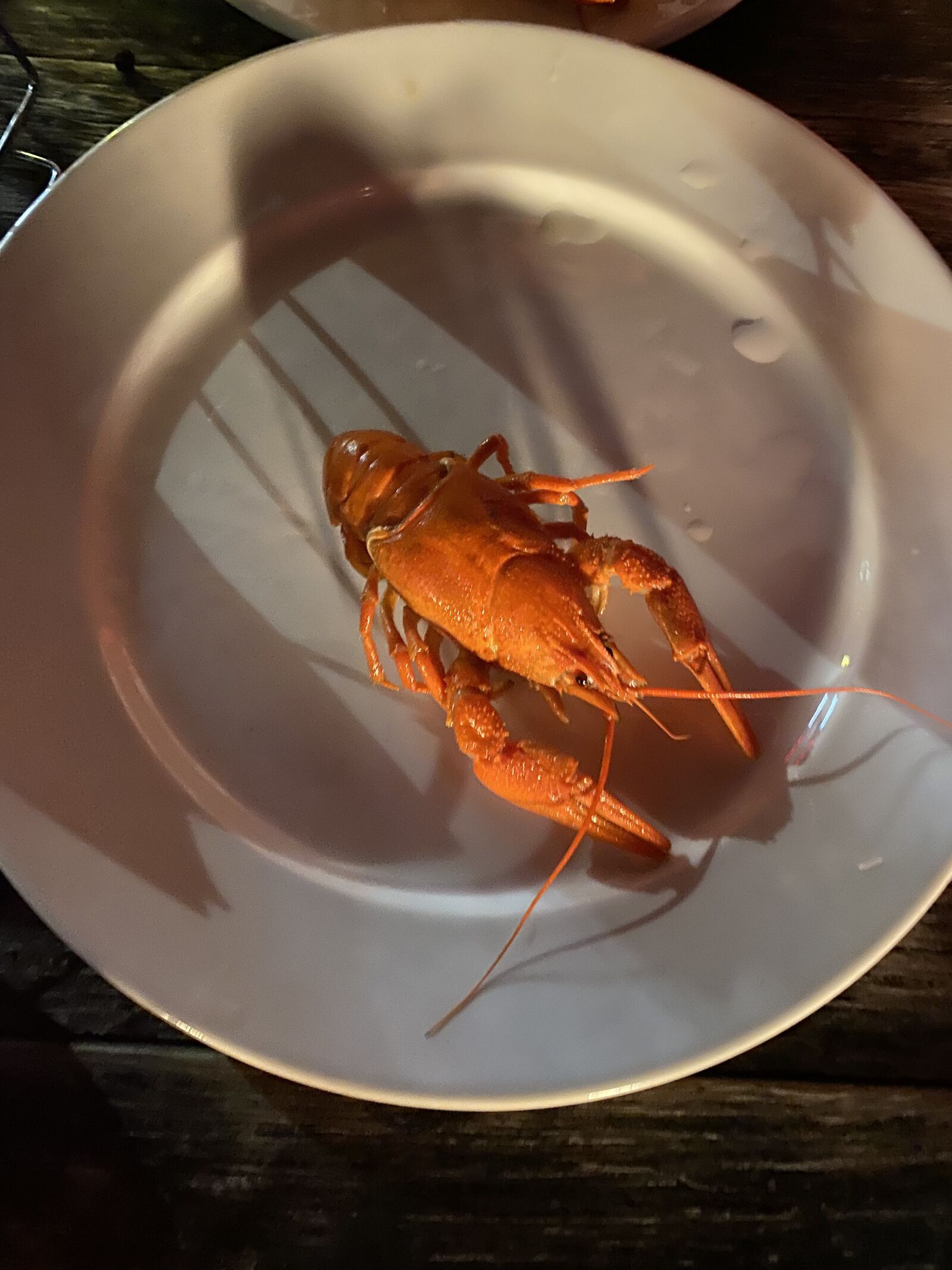 Apple iPhone 11 Pro Max sample photo. Cancer, food, plate photography