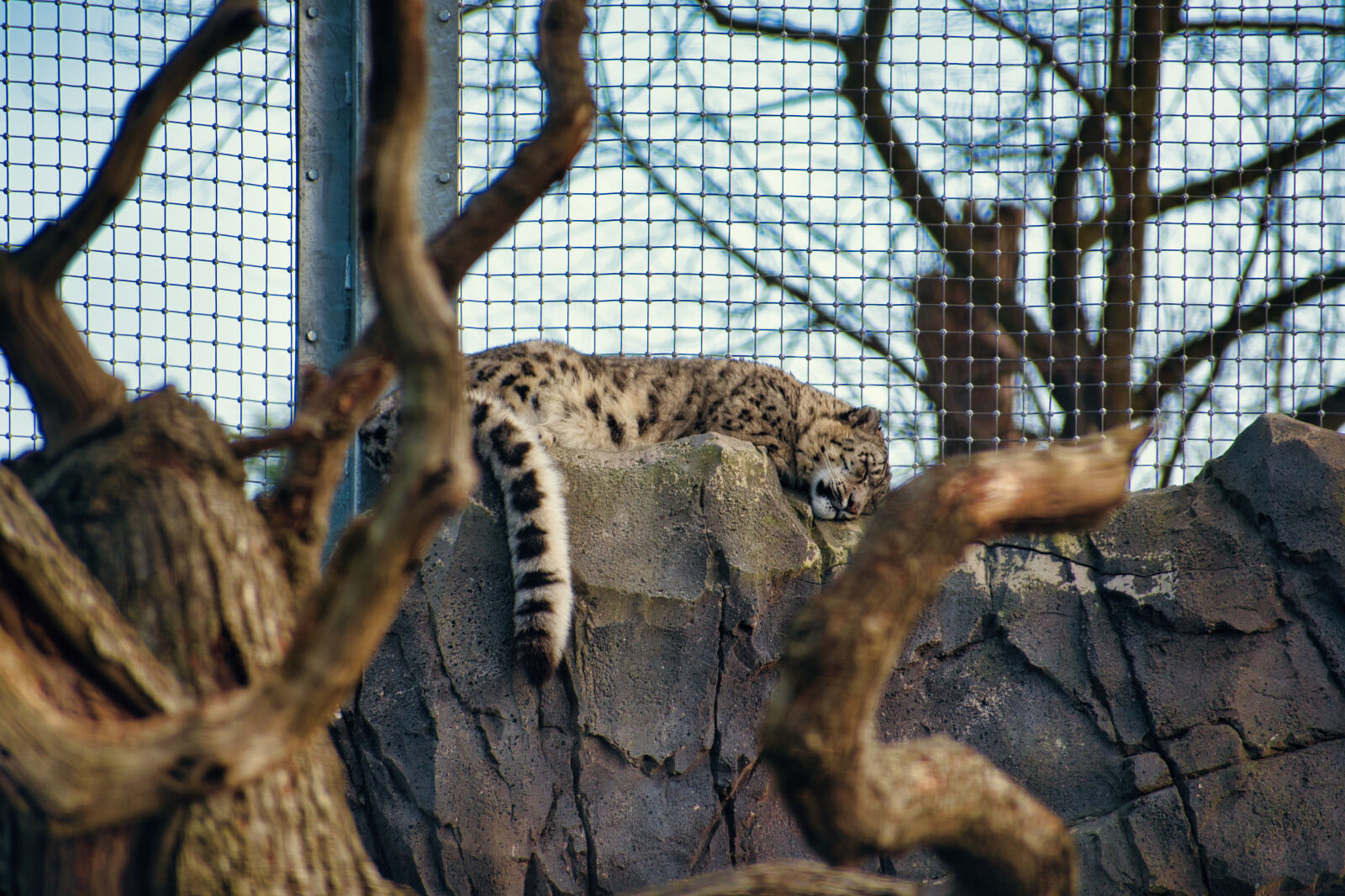 Fujifilm X-H2 sample photo