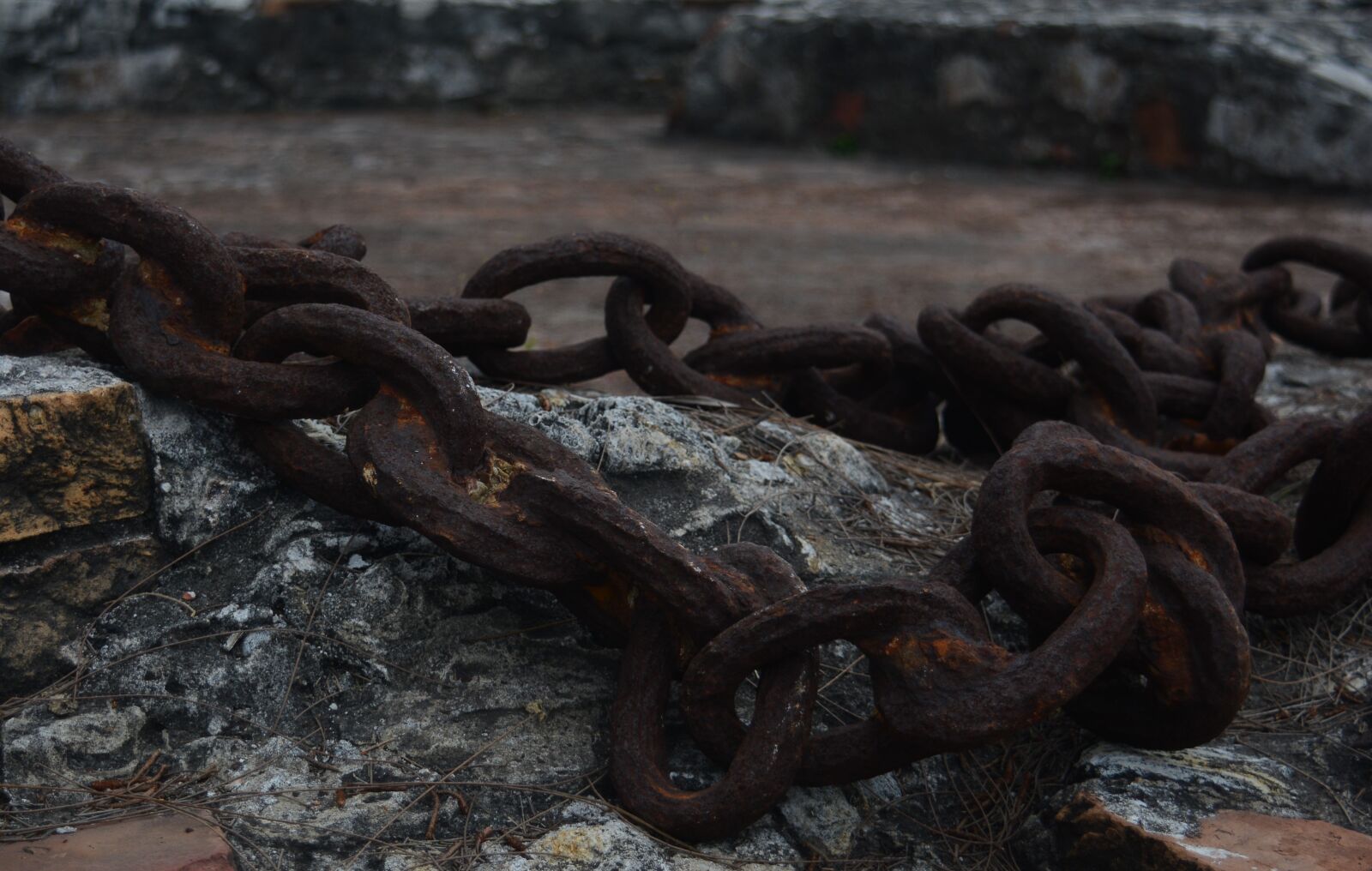 Nikon D5200 sample photo. String, sea, boat photography