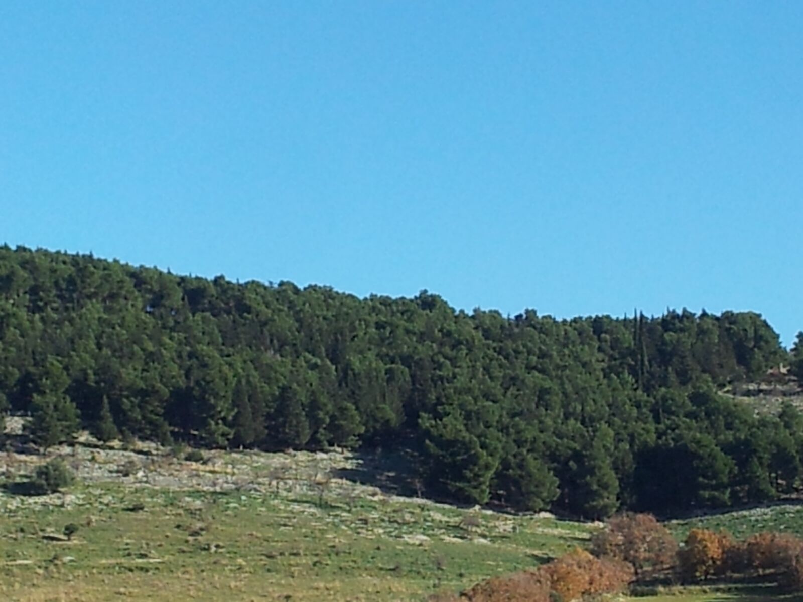 Samsung Galaxy S2 sample photo. Landscape, hill, forest photography