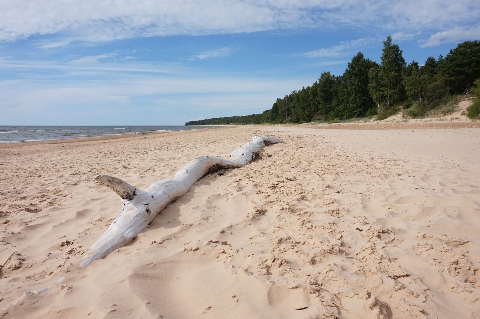 Sony Alpha a5000 (ILCE 5000) sample photo. Baltic sea, sea, latvia photography