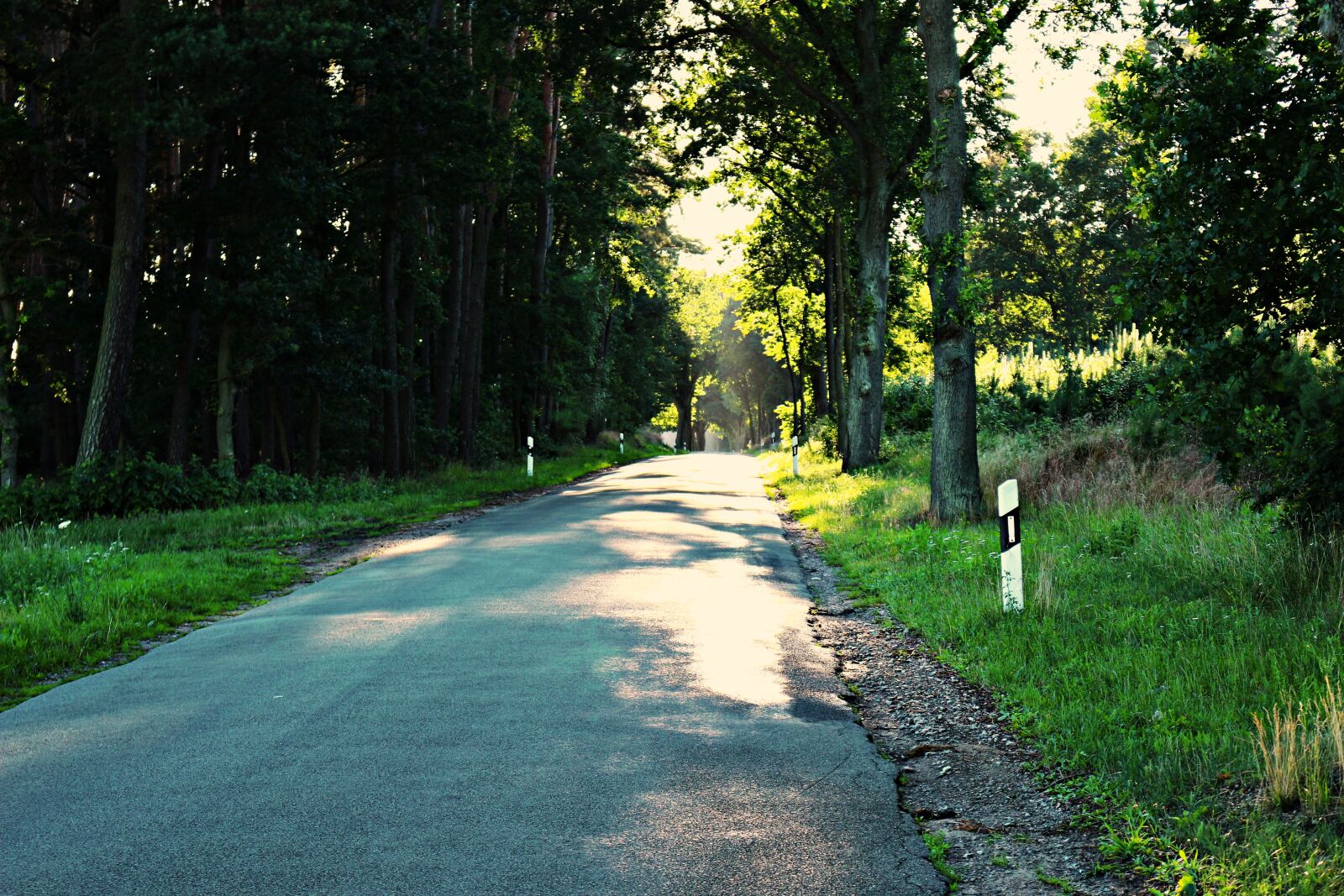 Canon EOS 100D (EOS Rebel SL1 / EOS Kiss X7) sample photo. Road, avenue, away photography