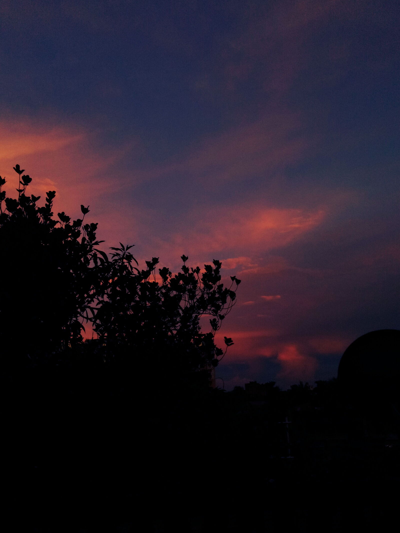 OPPO A1601 sample photo. Sunset photography
