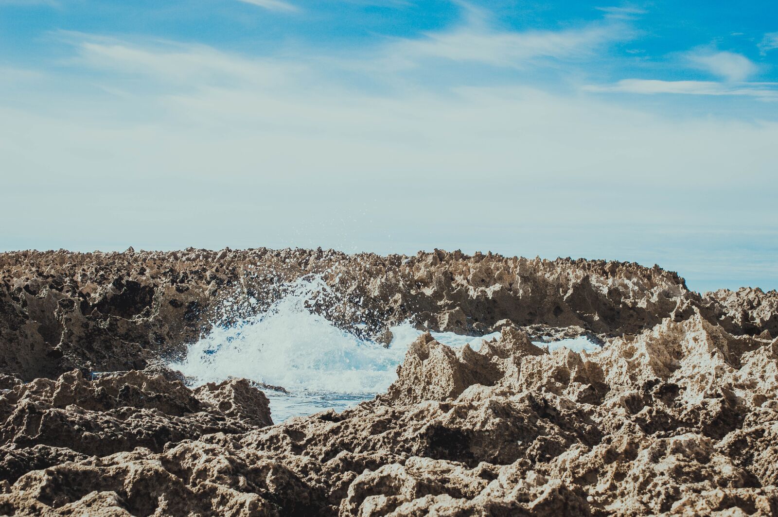Nikon D3200 sample photo. Sea, life, ocean photography