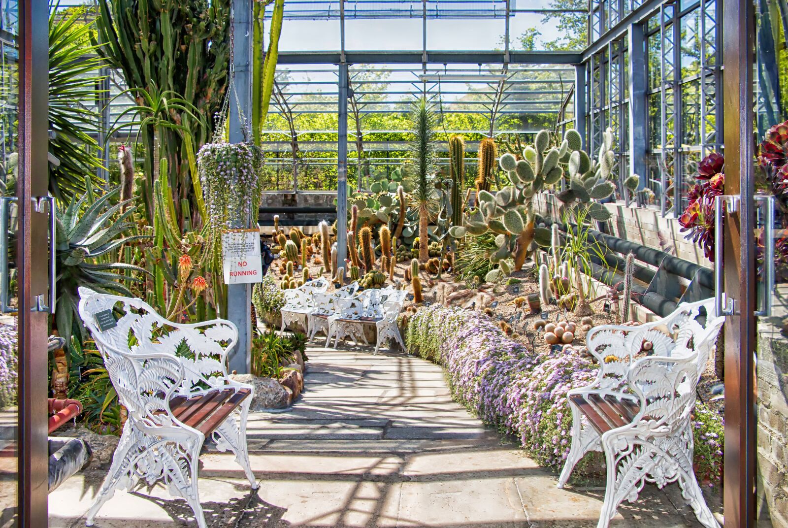 Canon EOS 70D sample photo. Winter garden, plants, cacti photography