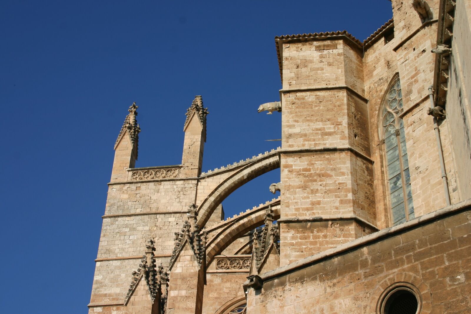 Canon EOS 300D (EOS Digital Rebel / EOS Kiss Digital) sample photo. Church, mallorca, cathedral photography