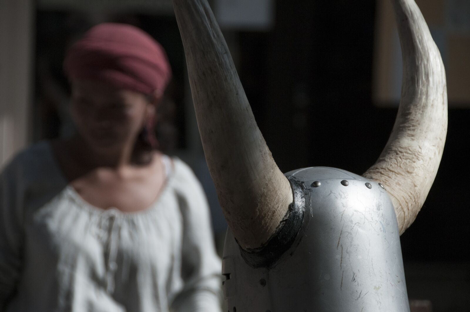 Nikon D300 sample photo. Knight games, helm, horns photography