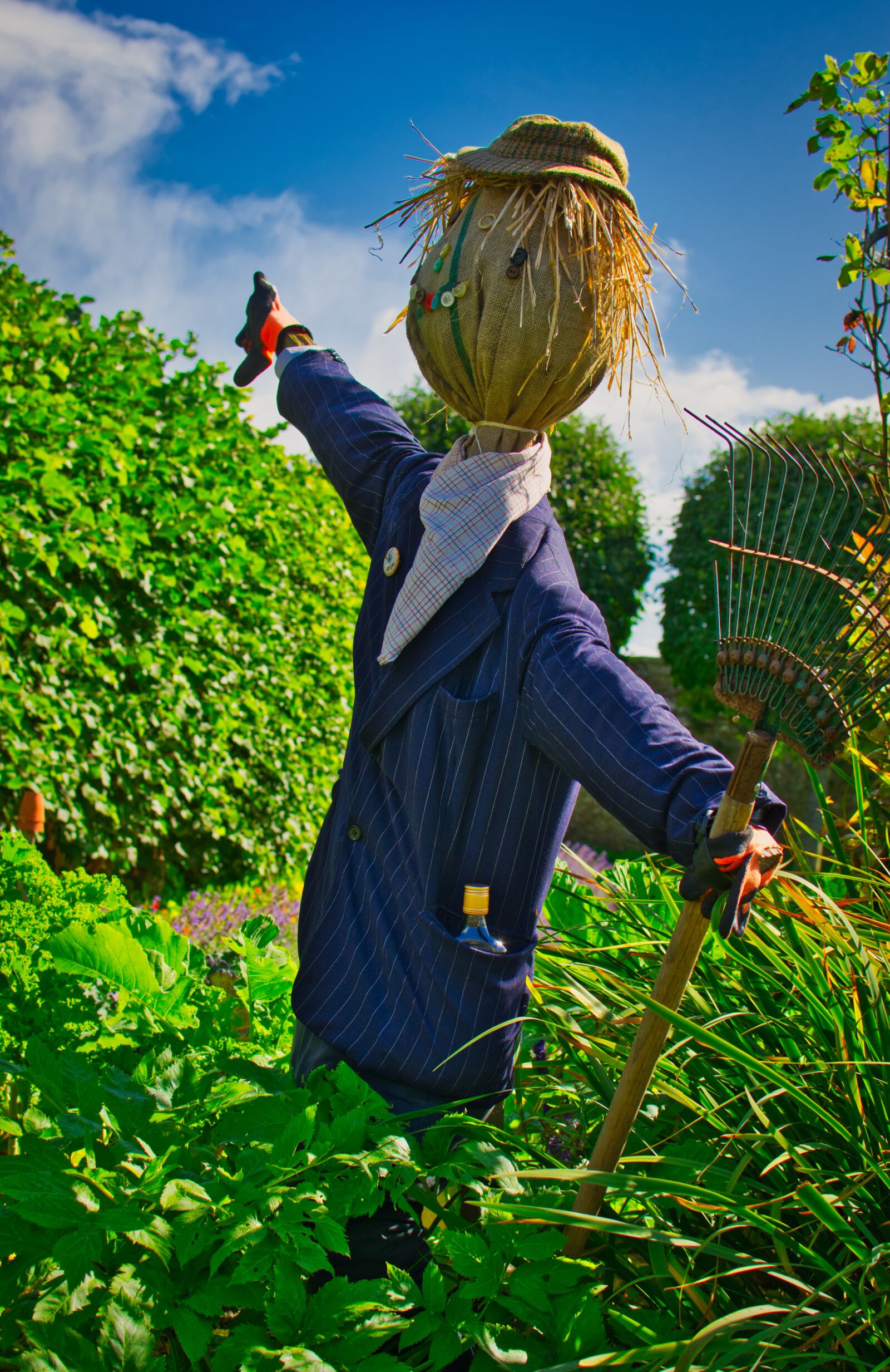 Nikon D5300 sample photo. Scarecrow, garden, doll photography