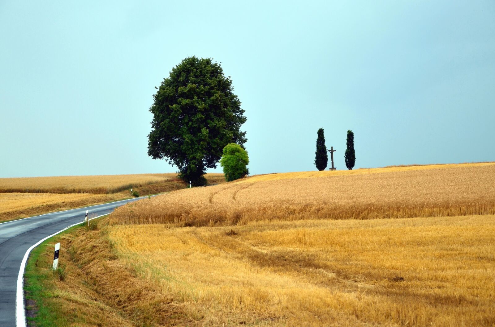 Nikon D5100 sample photo. Road, wood, wheat, grain photography