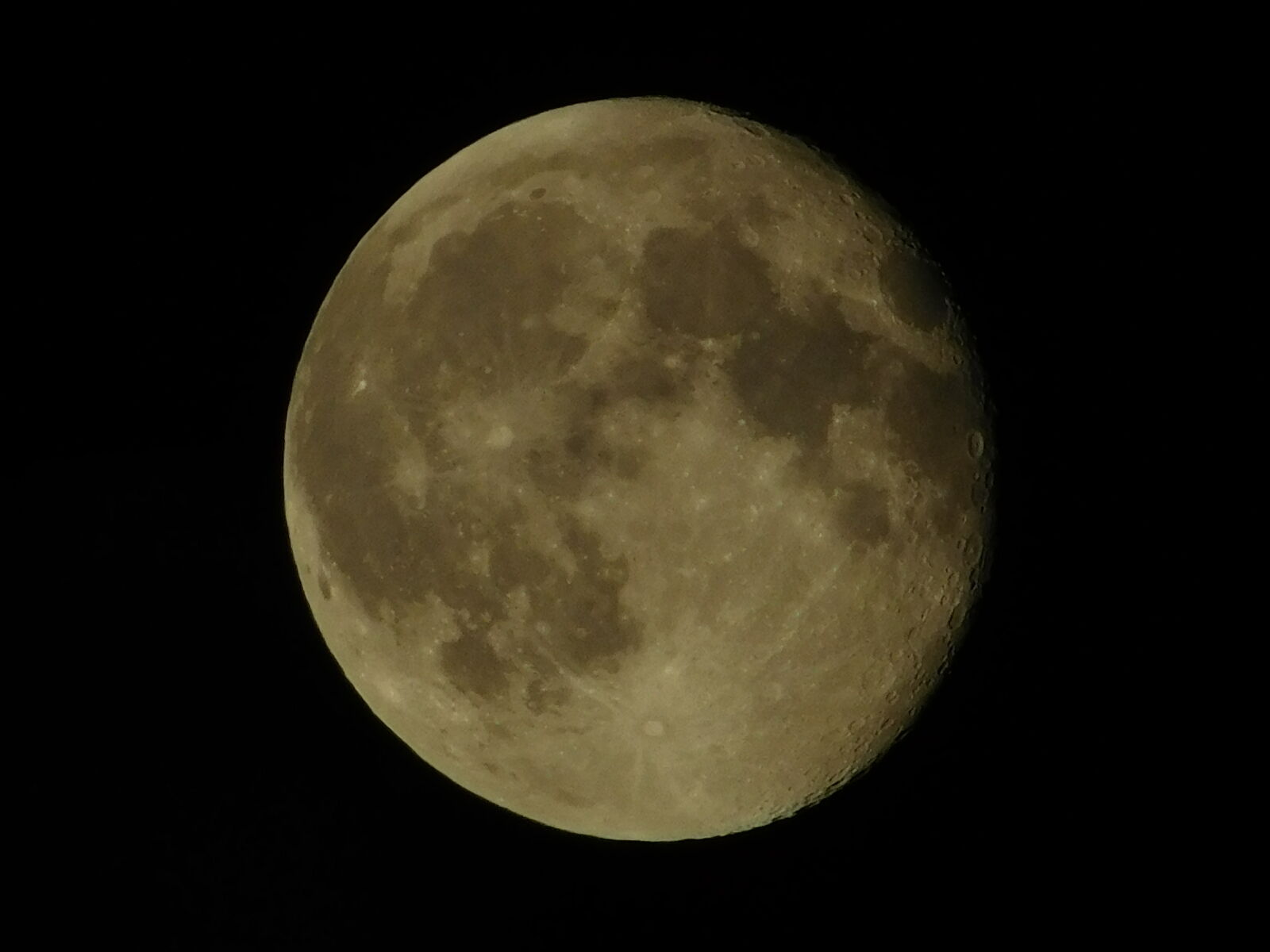 Nikon Coolpix L840 sample photo