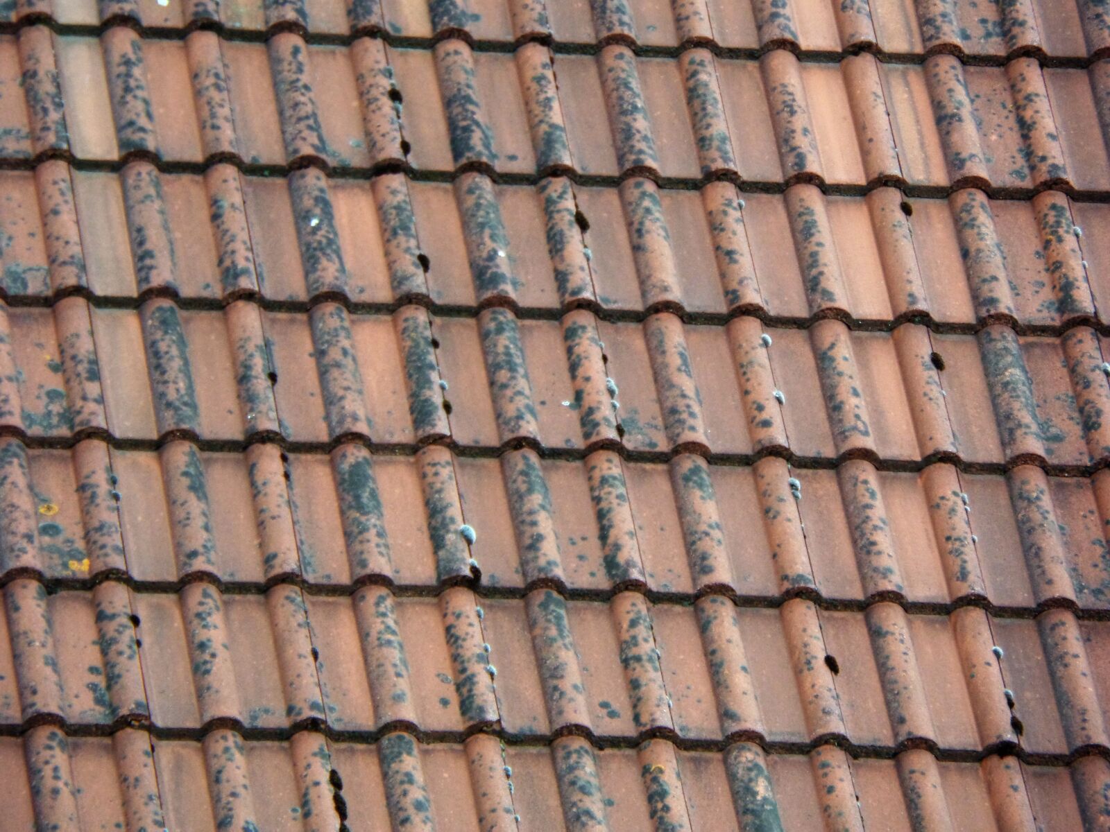 Samsung WB200F/WB201F/WB202F sample photo. Roof, shingle, pattern photography
