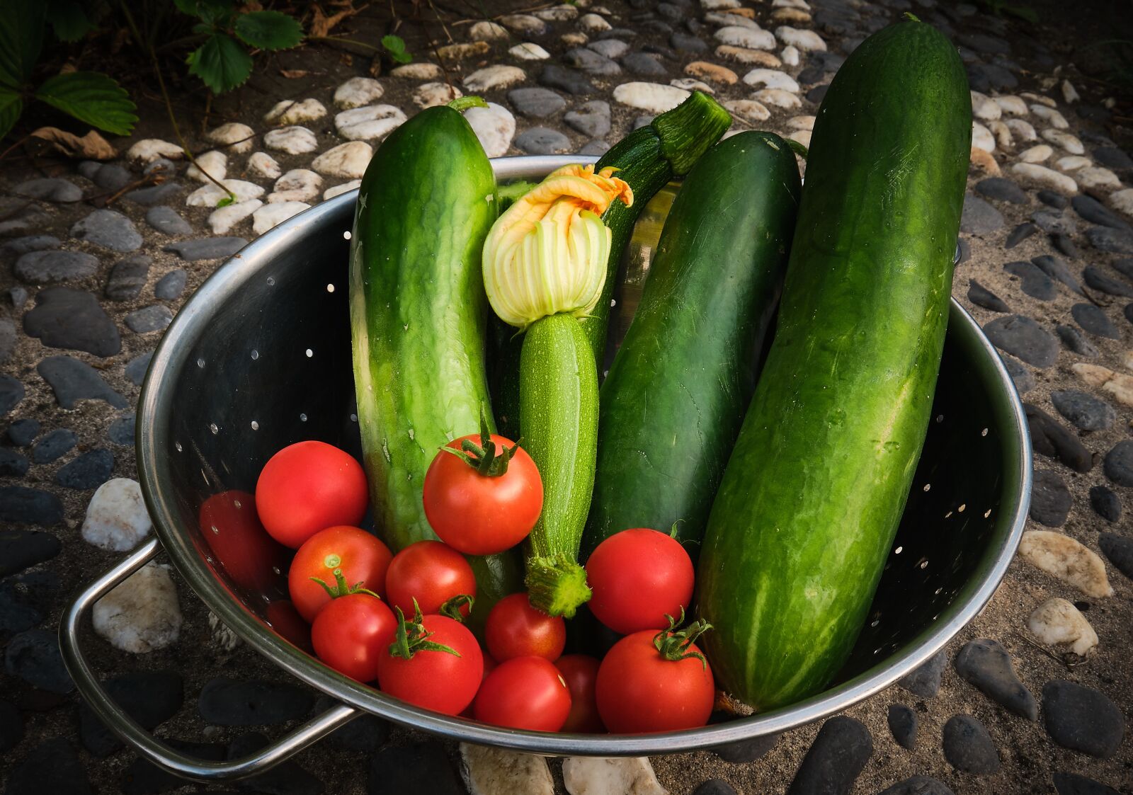 Fujifilm XF 18-55mm F2.8-4 R LM OIS sample photo. Harvest, vegetables, tomato photography