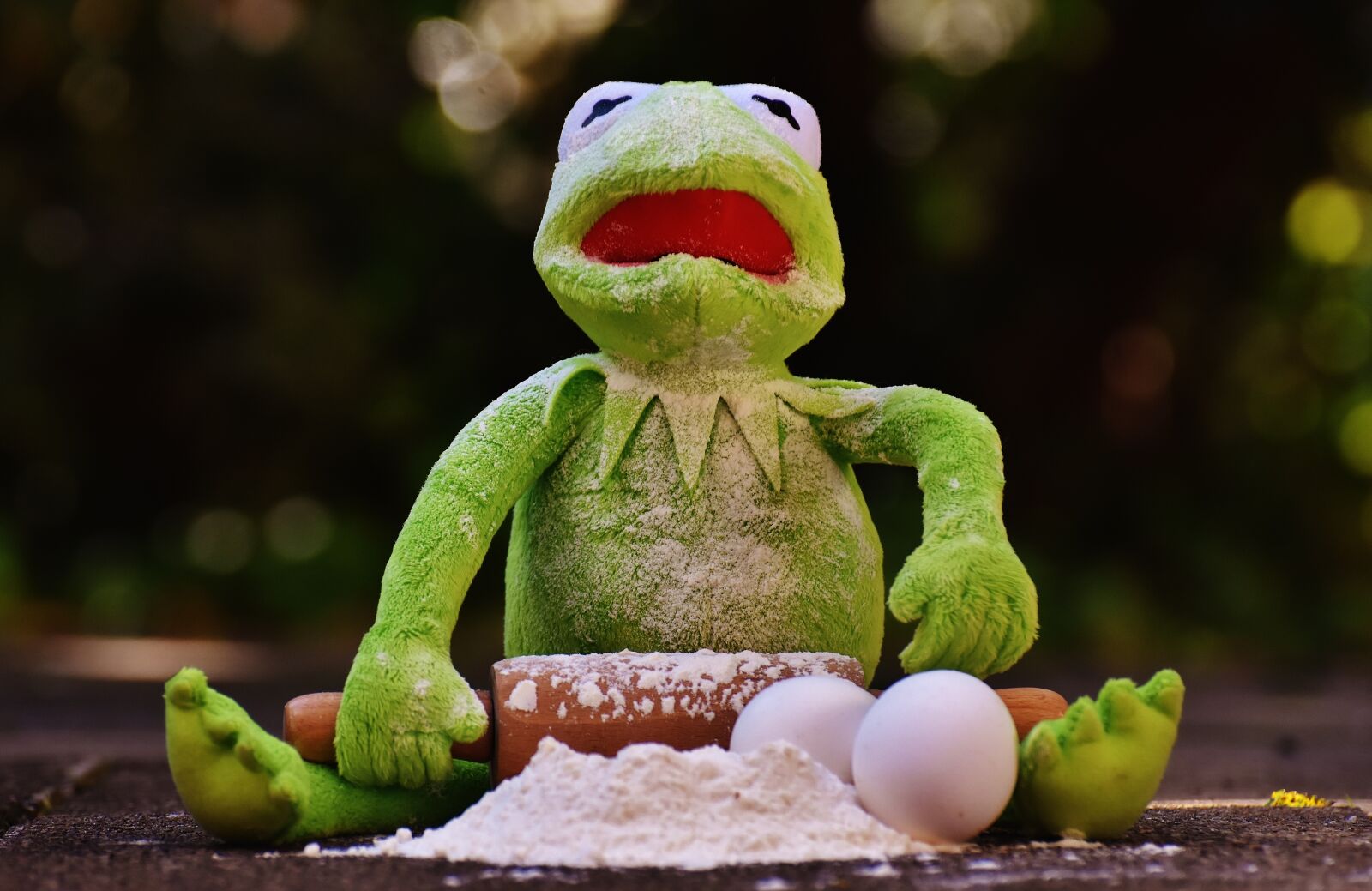 Nikon D7200 sample photo. Kermit, bake, rolling pin photography