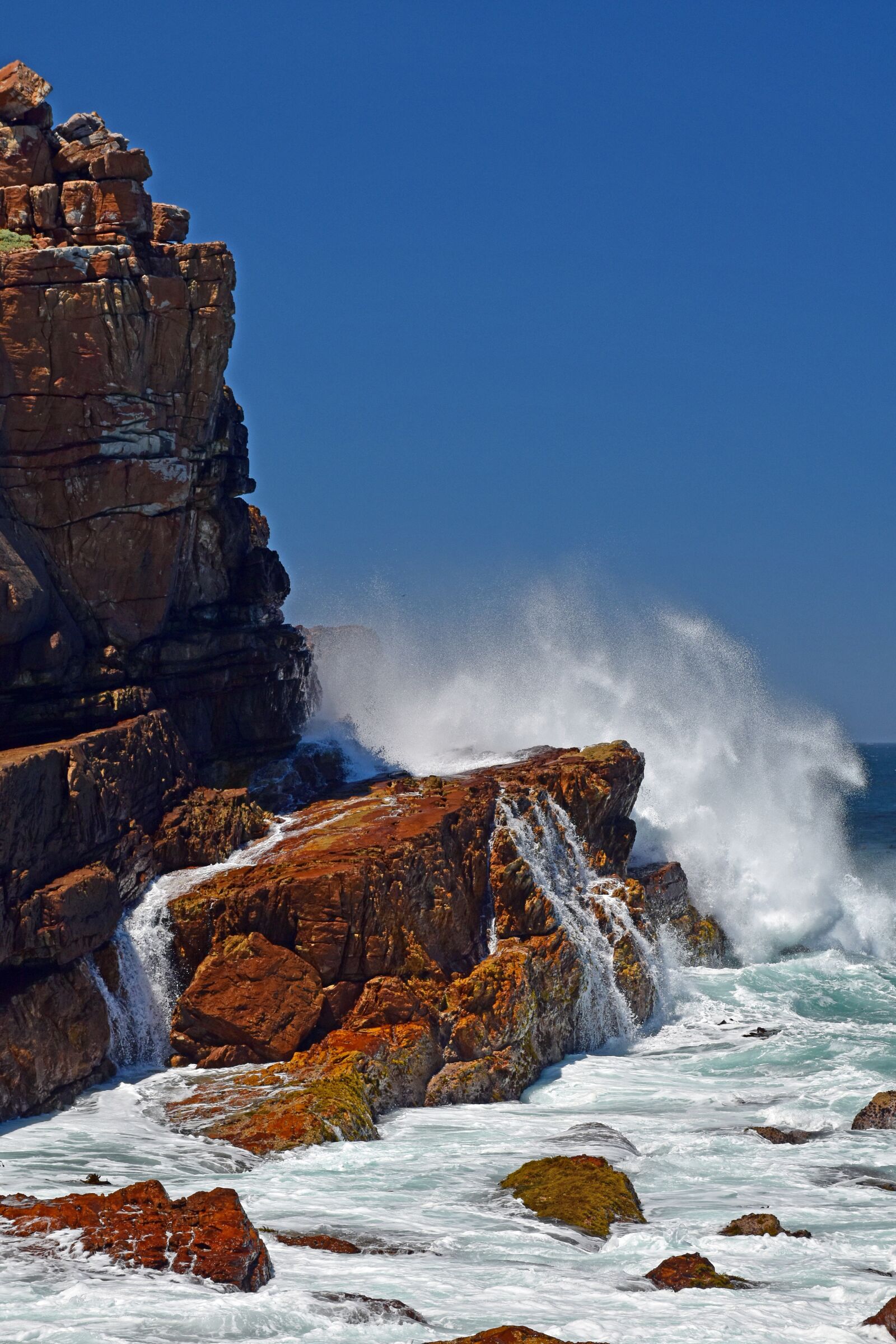 Nikon D5600 sample photo. South africa, the cape photography