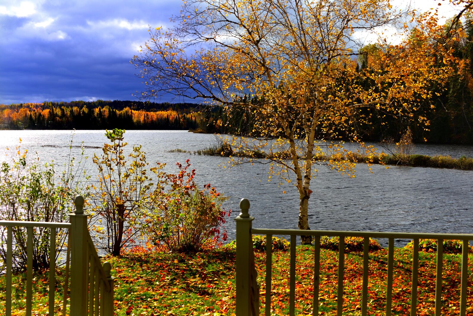 Nikon D610 sample photo. Landscape, fall, nature photography