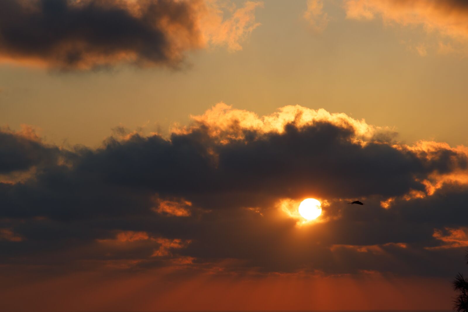 Canon EOS R sample photo. Sunset, sun, sunlight photography
