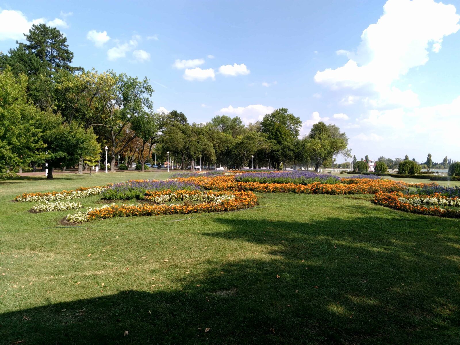 Lenovo S60-A sample photo. Landscape, nature, grass, tree photography