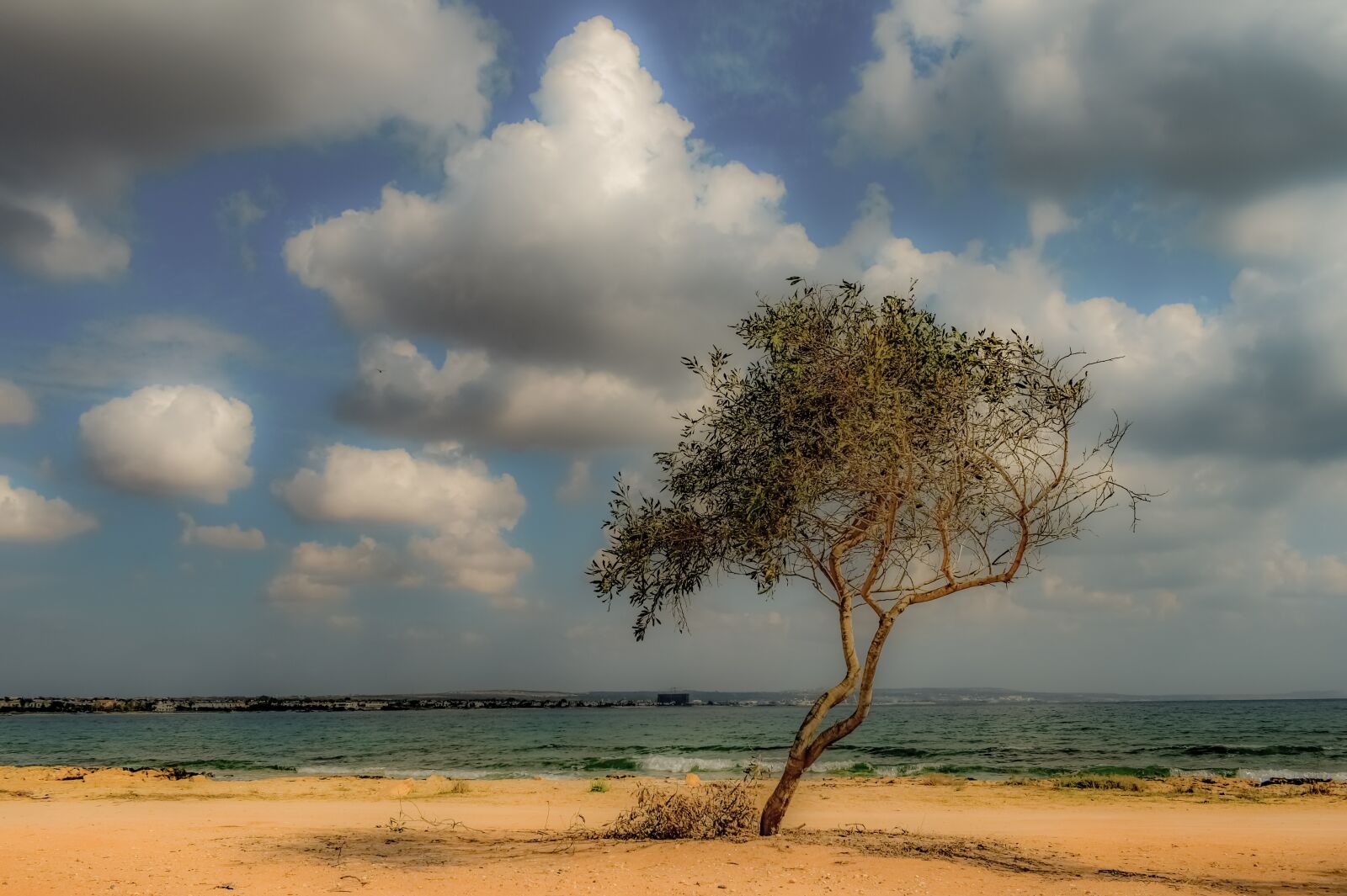 Nikon D3300 sample photo. Cyprus, potamos liopetri, tree photography