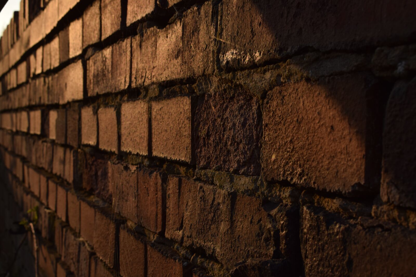 Nikon D3300 sample photo. Brick, wall, stone photography