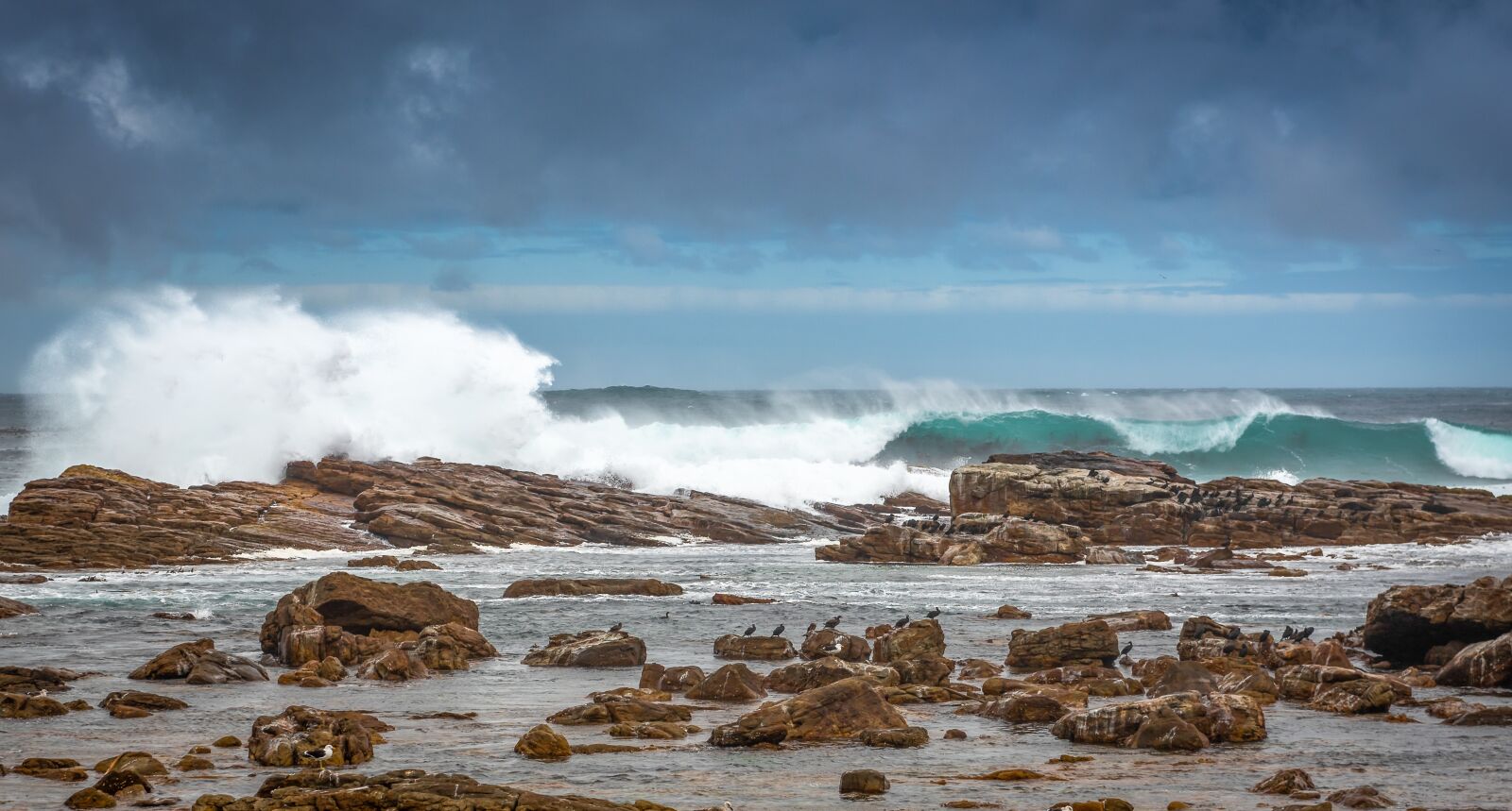 Nikon D750 sample photo. Coast, surf, south africa photography