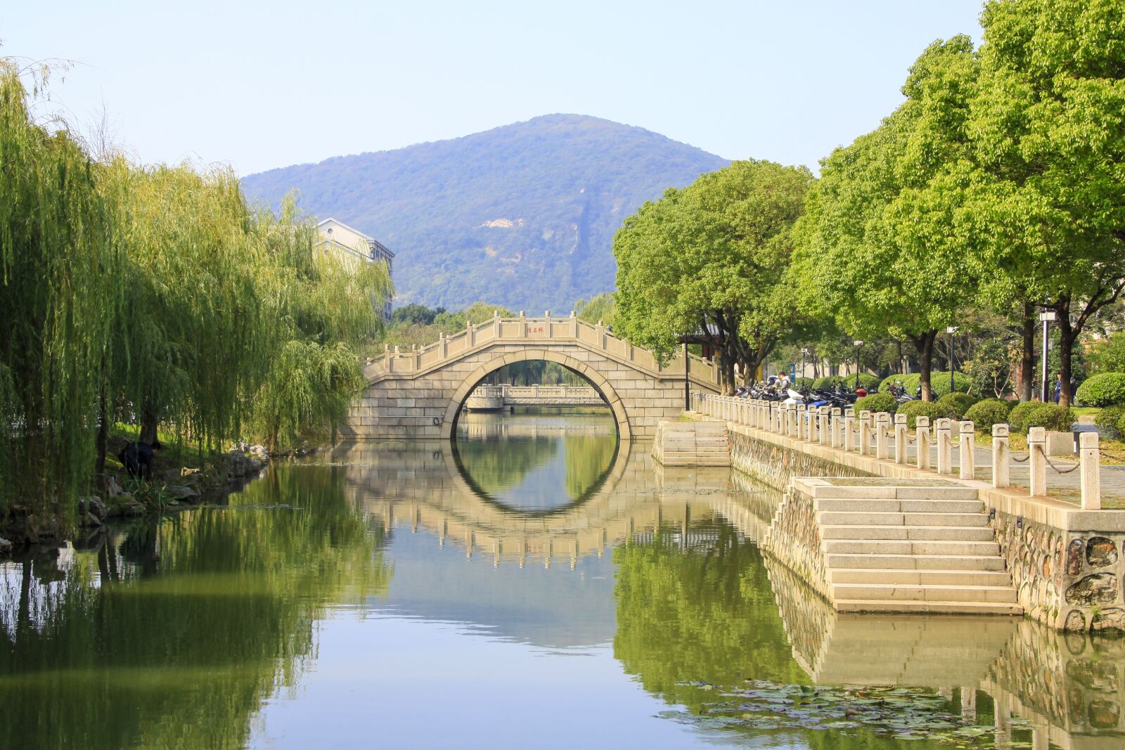 Canon EOS 50D sample photo. Bridge, running water, trees photography