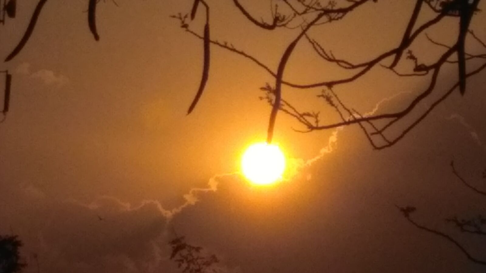 Xiaomi Redmi 3S sample photo. Sun, ray photography