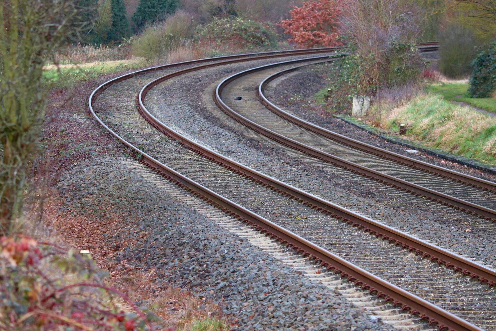 Canon EOS 200D (EOS Rebel SL2 / EOS Kiss X9) sample photo. Rails, railroad tracks, rail photography